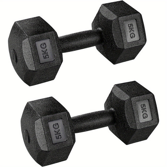 2pcs Dumbbells Hexagon Portable Hand Weights Dumbbells Set Home Weight Set for Strength Training Home Workout Aerobic