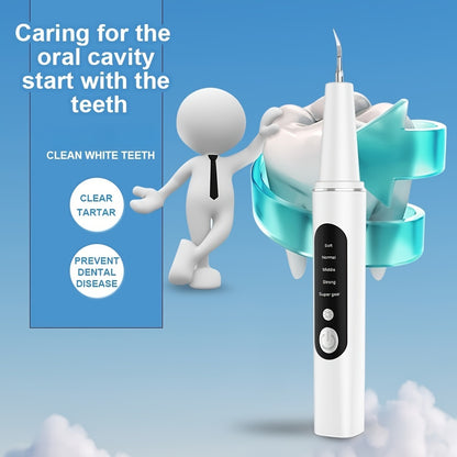 Rechargeable Teeth Scaler With LED Light, 4 Replaceable Heads, Type-C Charging, Oral Hygiene Cleaner Kit Christmas Gift