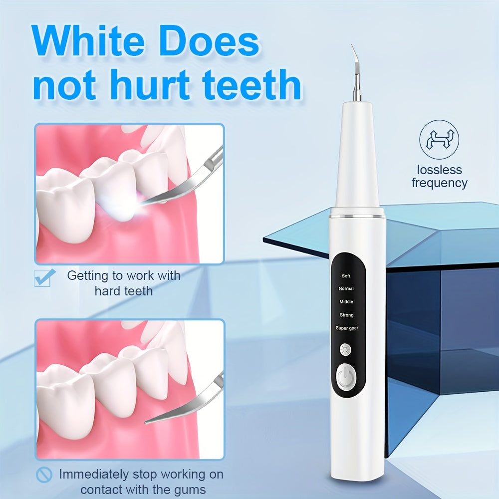 Rechargeable Teeth Scaler With LED Light, 4 Replaceable Heads, Type-C Charging, Oral Hygiene Cleaner Kit Christmas Gift