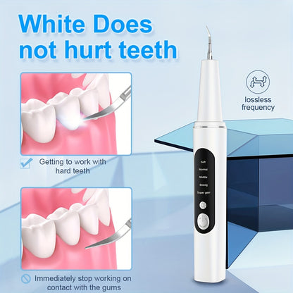 Rechargeable Teeth Scaler With LED Light, 4 Replaceable Heads, Type-C Charging, Oral Hygiene Cleaner Kit Christmas Gift