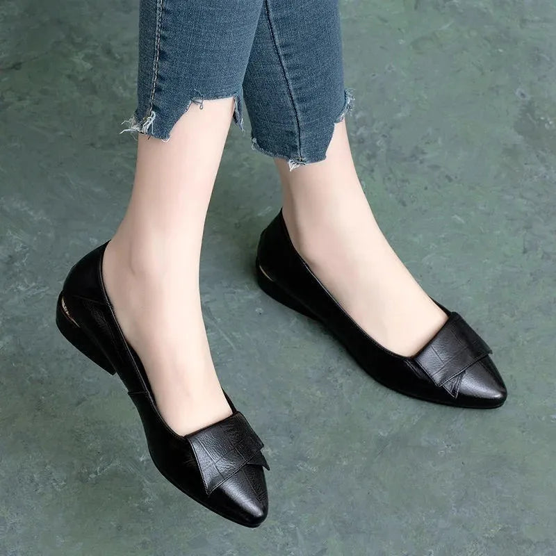 Flat Sole Single Shoe Women's New Spring and Autumn Shallow Cut Thick Heel Pointed Toe Women's Shoes Soft Sole Leather Shoes