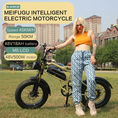 1500W Ebike Motor 48V18AH Dual battery City Trip off-road Electric Bicycle 20*4.0 In Fat Tire Aldult Snow Mountain Electric Bike