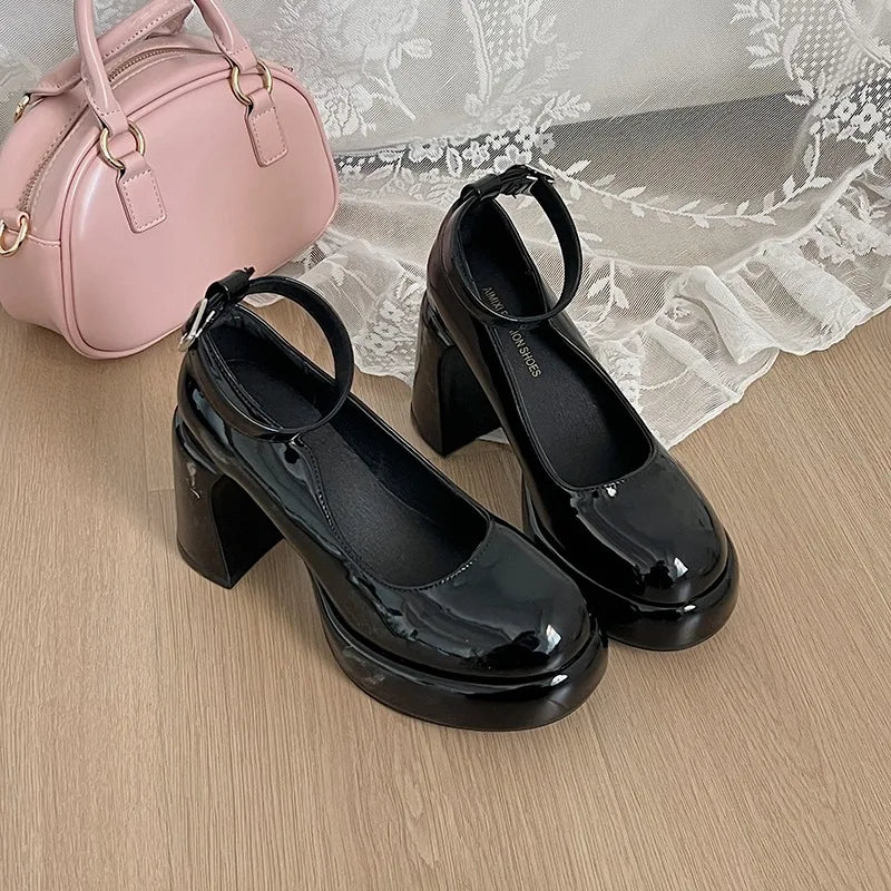 Women's Mary Jane Shoes Autumn New Round Head Shallow Mouth Super High Heel Waterproof Platform Chunky Shoes