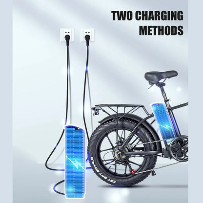 T20 Electric Bike 750W Powerful Motor 48V 17Ah Battery Ebike Adult 20*4.0 Inch CST Fat Tire 40-45km/h Max Speed Electric Bicycle