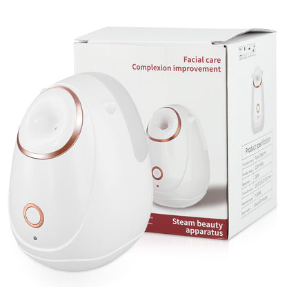 Household beauty instrument nano hydrating facial steamer